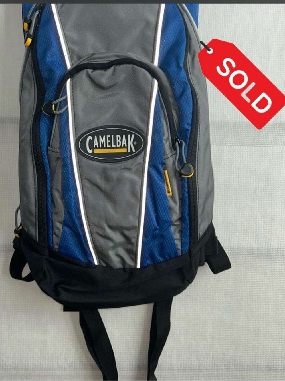 SOLD Camelback Blowfish Hydration Backpack Without Bladder